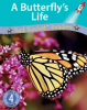 A_Butterfly_s_Life