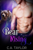 Bear_Rising