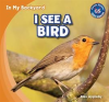 I_See_a_Bird