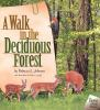 A_walk_in_the_deciduous_forest