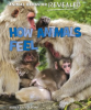 How_animals_feel