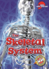The_Skeletal_System