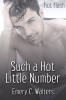 Such_a_Hot_Little_Number