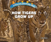 How_Tigers_Grow_Up