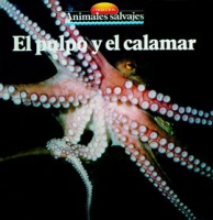 El_pulpo_y_el_calamar