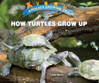 How_Turtles_Grow_Up