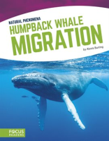 Humpback_Whale_Migration