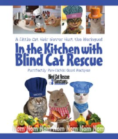 In_the_Kitchen_with_Blind_Cat_Rescue
