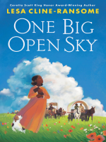 One_big_open_sky