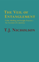 The_Veil_of_Entanglement