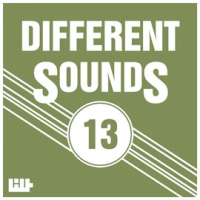 Different_Sounds__Vol__13