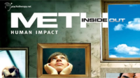 Meth_inside_out
