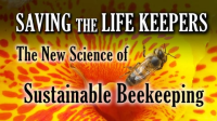 Saving_the_lifekeepers_the_new_science_of_sustainable_beekeeping