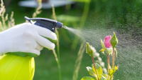 The_Science_of_Gardening