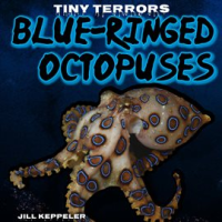 Blue-Ringed_Octopuses
