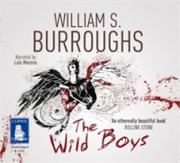 The_Wild_Boys