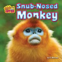Snub-nosed_monkey