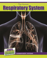 The_human_respiratory_system