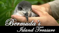Bermuda_s_Treasure_Island