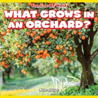 What_grows_in_an_orchard_