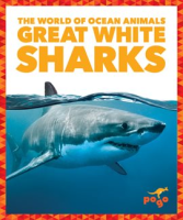 Great_White_Sharks