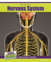 The_human_nervous_system