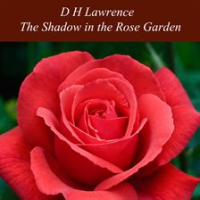 The_Shadow_in_the_Rose_Garden