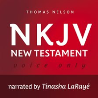 Voice_Only_Audio_Bible__NKJV