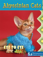 Abyssinian_Cats