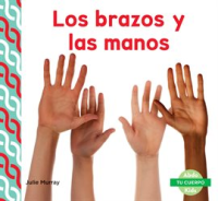 Los_Brazos_y_las_Manos__Arms___Hands_