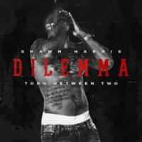 Dilemma__Torn_Between_Two