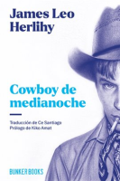 Cowboy_de_medianoche