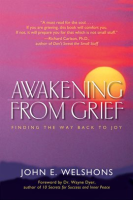 Awakening_from_Grief