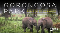 Gorongosa_Park_Rebirth_of_Paradise