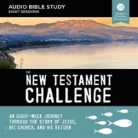 The_New_Testament_Challenge