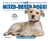 I_Like_Mixed-Breed_Dogs_