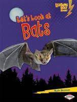 Let_s_Look_at_Bats