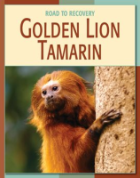 Golden_Lion_Tamarin