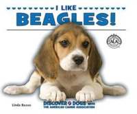 I_Like_Beagles_