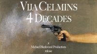 Vija_Celmins__4_Decades
