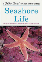 Seashore_Life